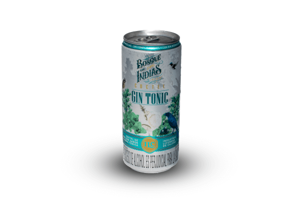 GIN TONIC COCTEL 295 ML RVC