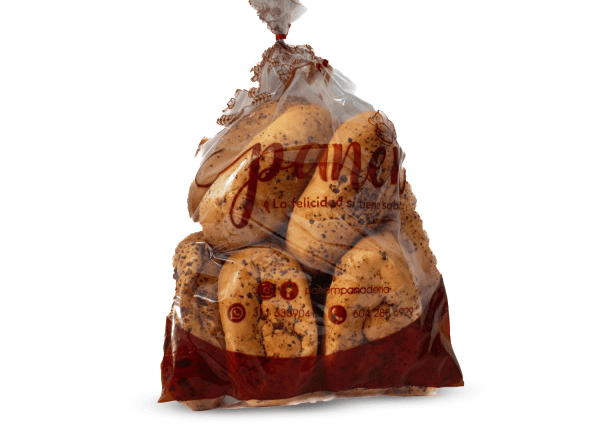 PAN AGRIDULCE X 10 UNDS PANEM